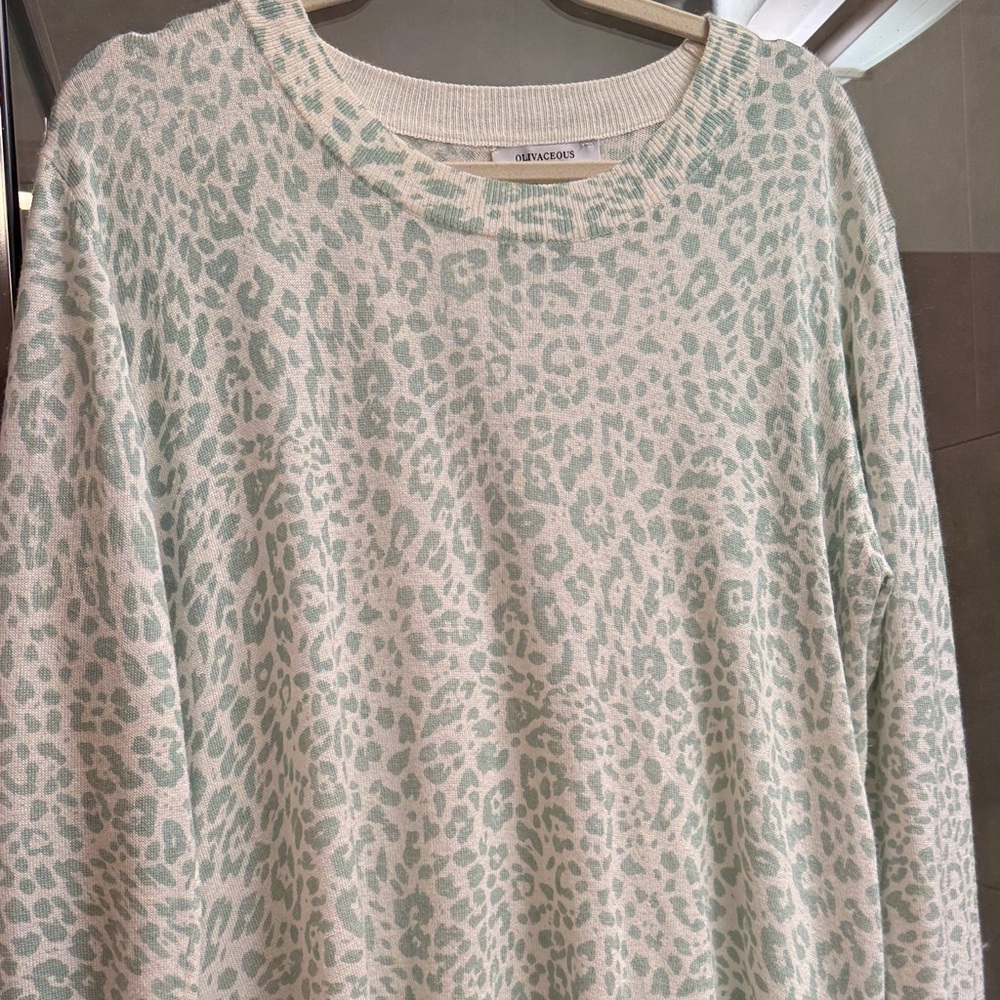 Mint Leopard Print Sweater